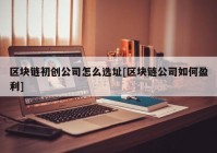 区块链初创公司怎么选址[区块链公司如何盈利]